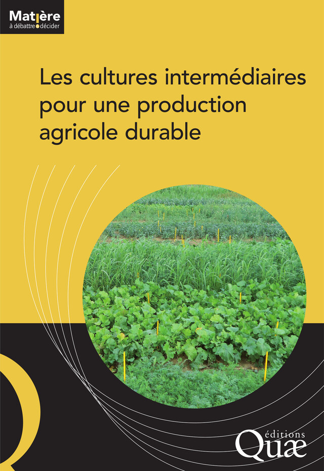 Les cultures intermédiaires pour une production agricole durable - Collectif Ouvrage - Quæ