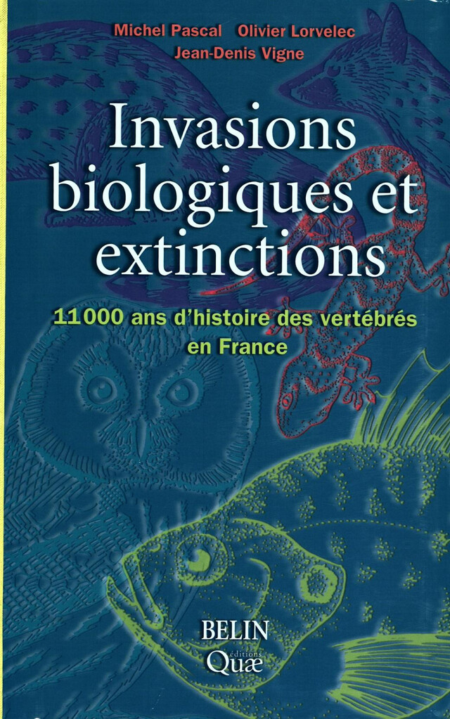 Invasions biologiques et extinctions - Michel Pascal, Olivier Lorvelec, Jean-Denis Vigne - Quæ