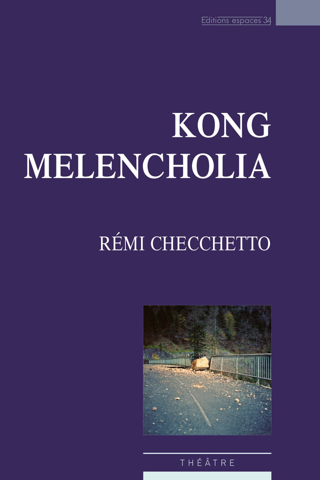 Kong Melencholia - Rémi Cecchetto - Éditions Espaces 34