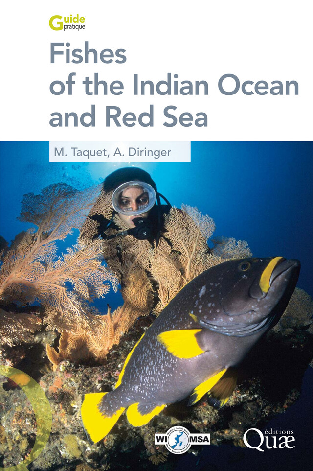 Fishes of the Indian Ocean and Red Sea - Marc Taquet, Alain Diringer - Quæ