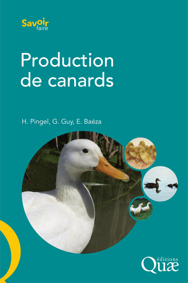 Production de canards - Gérard Guy, Heinz Pingel, Elisabeth Baéza - Quæ