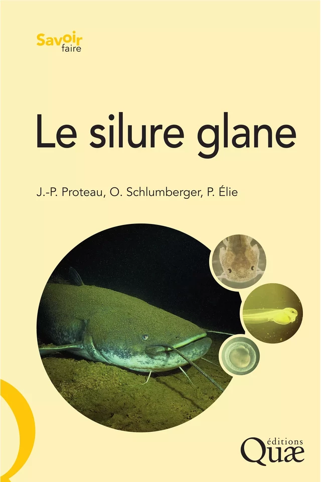 Le silure glane - Olivier Schlumberger, Pierre Elie, Jean-Pierre Proteau - Quæ