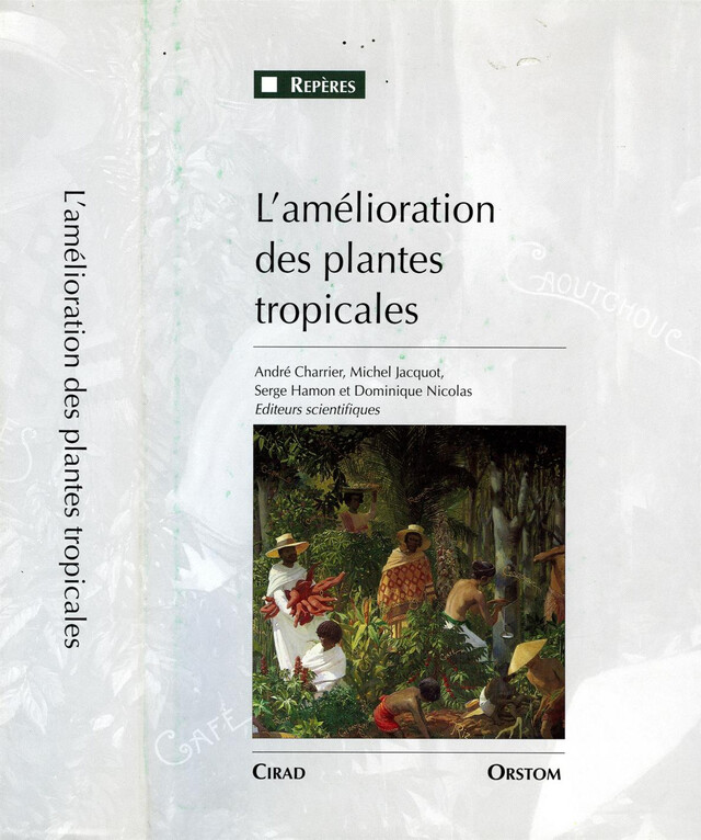 L'amélioration des plantes tropicales - André Charrier, Michel Jacquot, Serge Hamon, Dominique Nicolas - Quæ