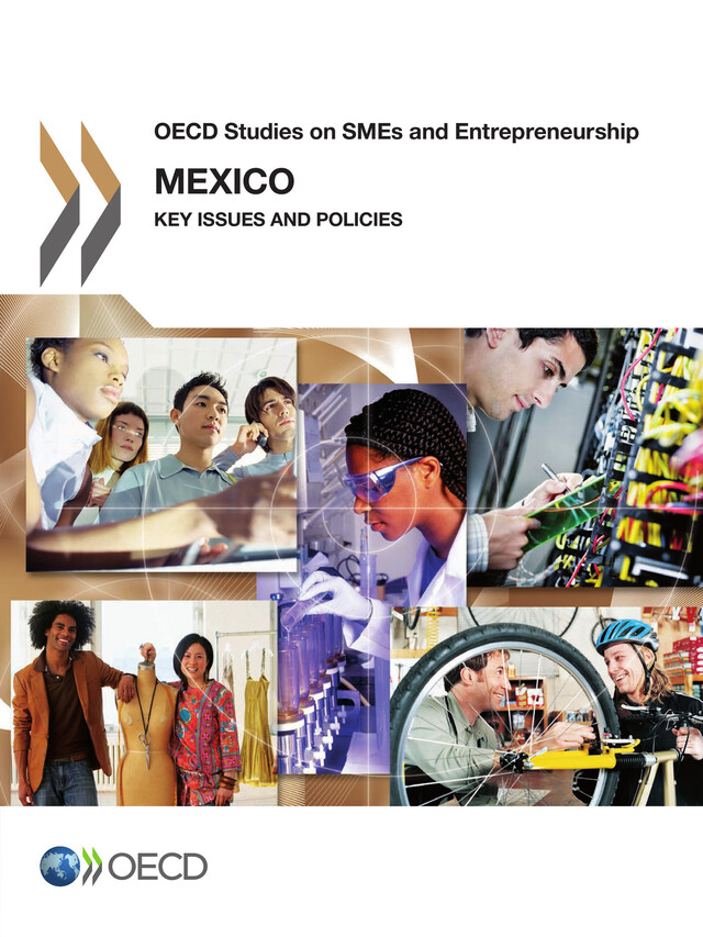 Mexico: Key Issues and Policies -  Collective - OCDE / OECD