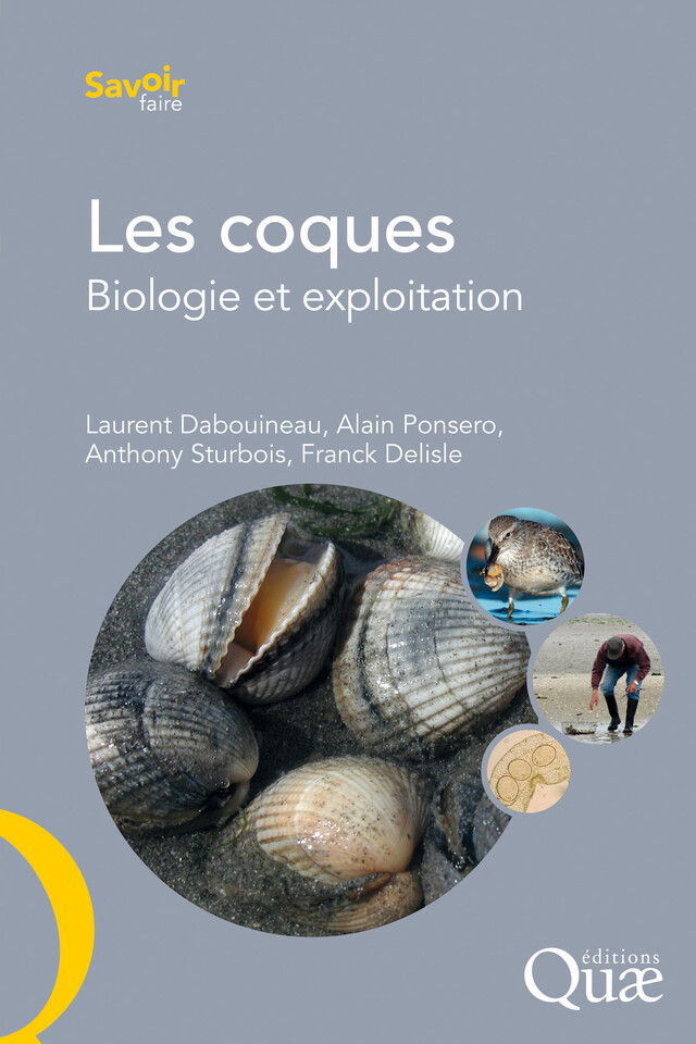 Les coques - Laurent Dabouineau, Alain Ponsero, Franck Delisle, Anthony Sturbois - Quæ