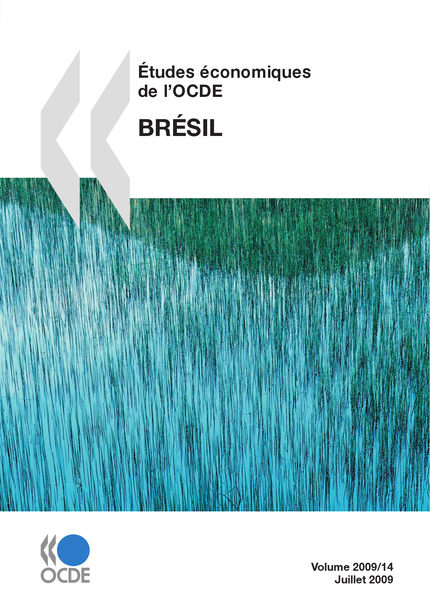 Études économiques de l'OCDE : Brésil 2009 -  Collectif - OCDE / OECD