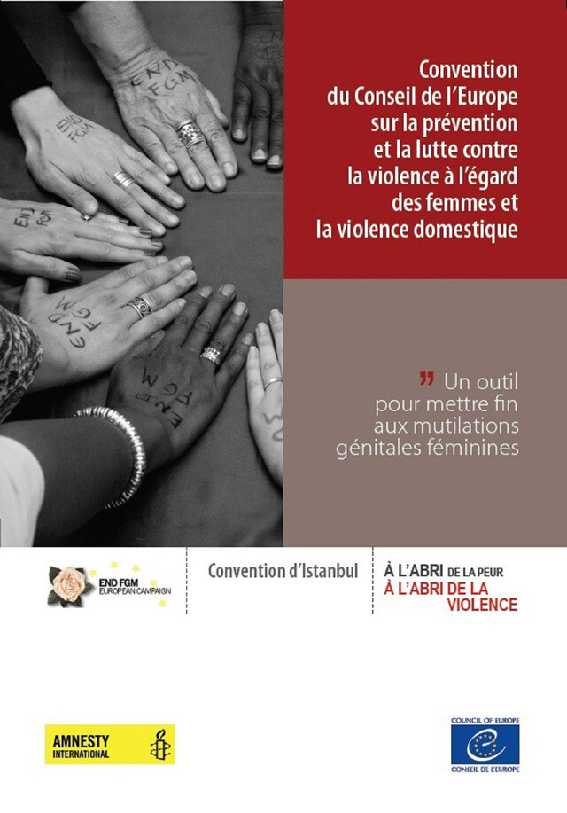 Convention du Conseil de l’Europe sur la prévention et la lutte contre la violence à l’égard des femmes et la violence domestique - Un outil pour mettre fin aux mutilations génitales féminines -  Collectif - Conseil de l'Europe