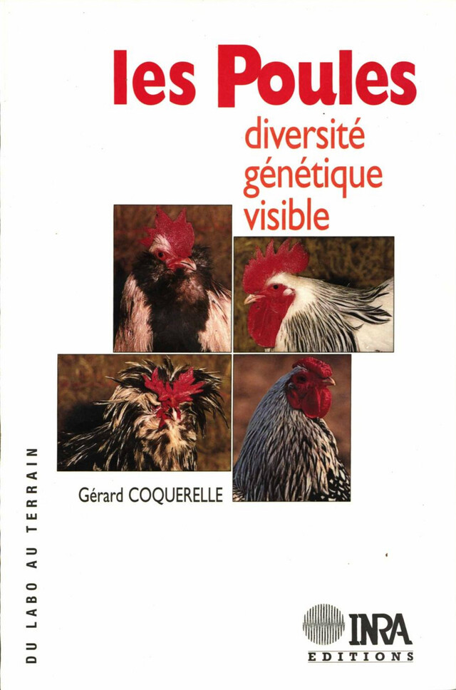 Les poules - Gérard Coquerelle - Quæ