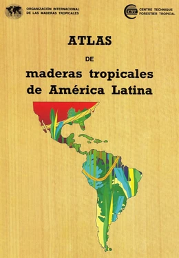 Atlas de maderas tropicales de América Latina