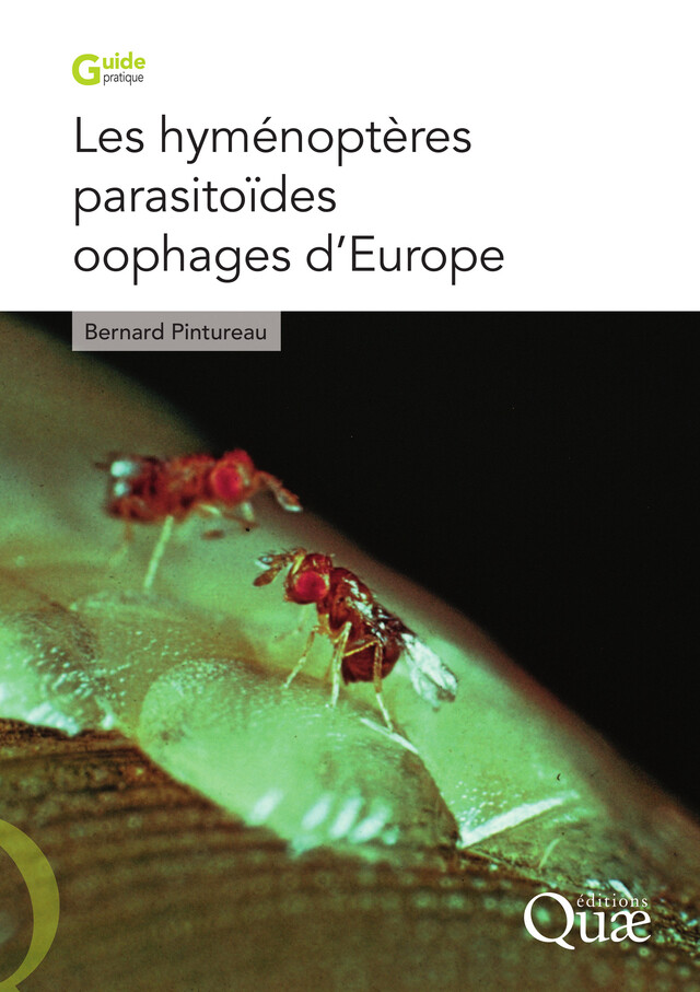 Les hyménoptères parasitoïdes oophages d'Europe - Bernard Pintureau - Quæ