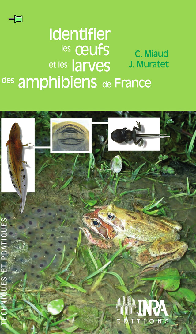 Identifier les oeufs et les larves des amphibiens de France - Claude Miaud, Jean Muratet - Quæ