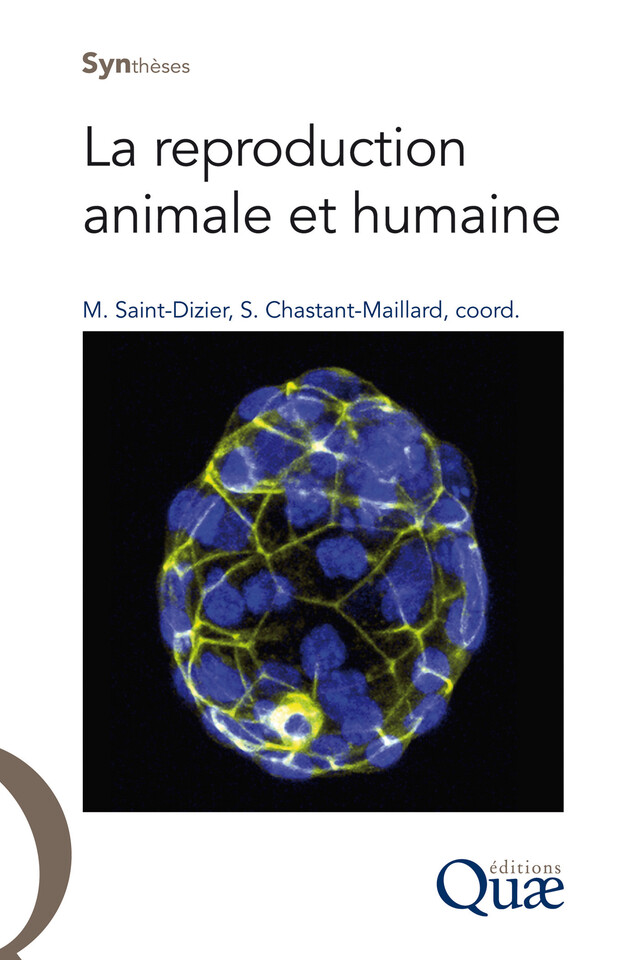 La reproduction animale et humaine - Marie Saint-Dizier, Sylvie Chastant-Maillard - Quæ