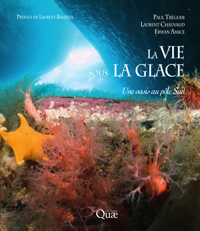 La vie sous la glace - Tréguer Paul, Chauvaud Laurent, Amice Erwan - Quæ