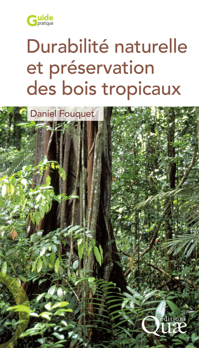 Durabilité naturelle et préservation des bois tropicaux - Daniel Fouquet - Quæ