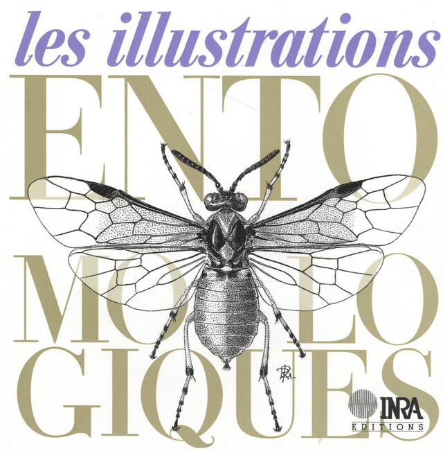 Les illustrations entomologiques - Jacques d'Aguilar, Rémi Coutin, Alain Fraval, Robert Guilbot, Claire Villemant - Quæ