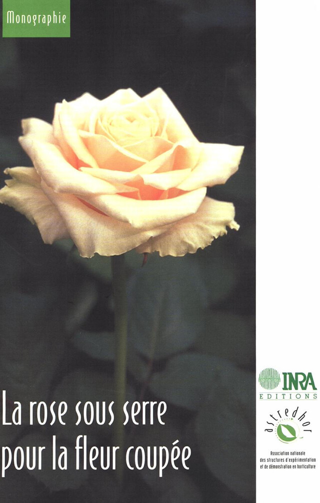 La rose sous serre pour la fleur coupée - Richard Brun, Laurent Mary - Quæ