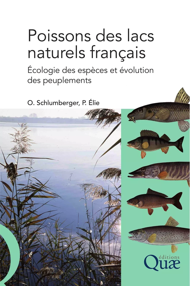 Poissons des lacs naturels français - Olivier Schlumberger, Pierre Elie - Quæ