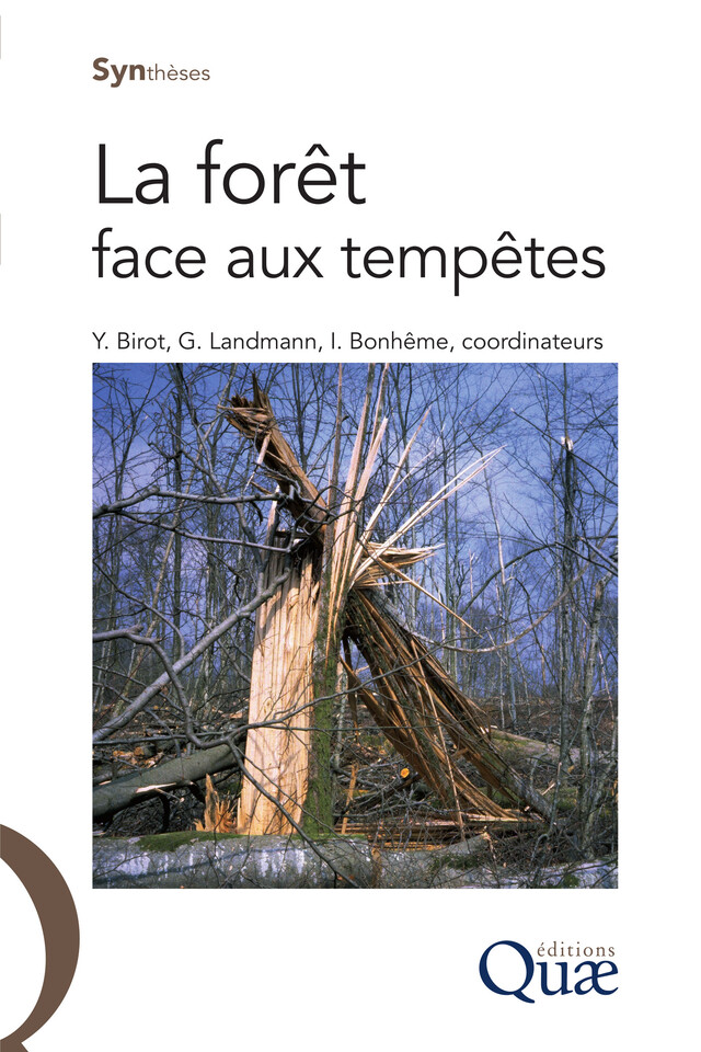 La forêt face aux tempêtes - Yves Birot, Guy Landmann, Ingrid Bonhême - Quæ