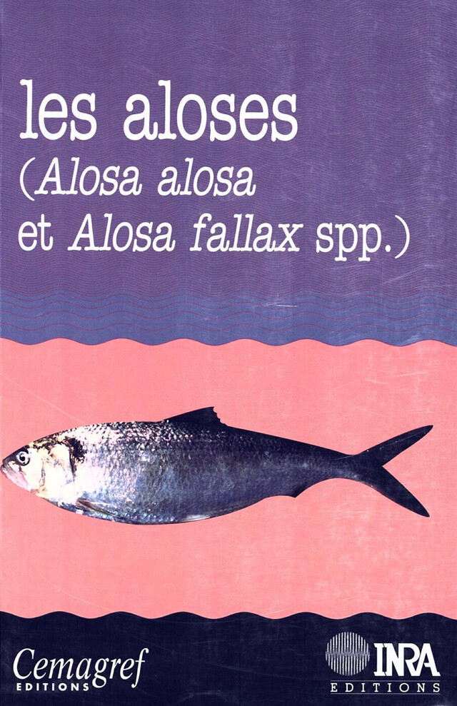 Les aloses (Alosa alosa et Alosa fallax spp.) - Pierre Elie, Jean-Luc Baglinière - Quæ