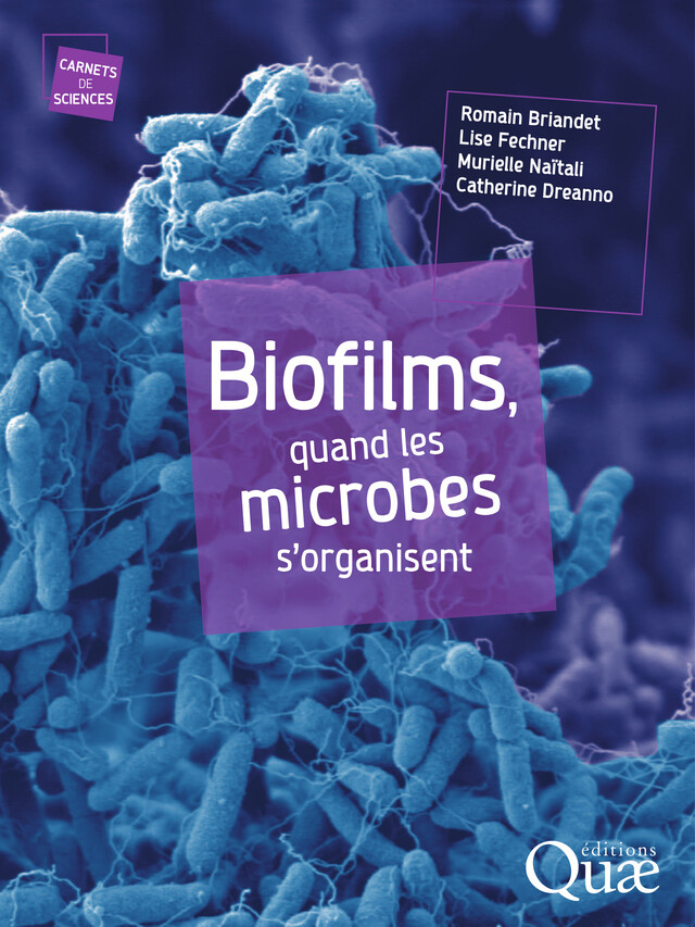 Biofilms, quand les microbes s'organisent - Romain Briandet, Lise Fechner, Muriel Naitali, Catherine Dreanno - Quæ