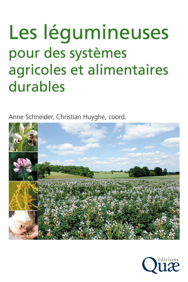 Les légumineuses pour des systèmes agricoles et alimentaires durables - Anne Schneider, Christian Huyghe - Quæ