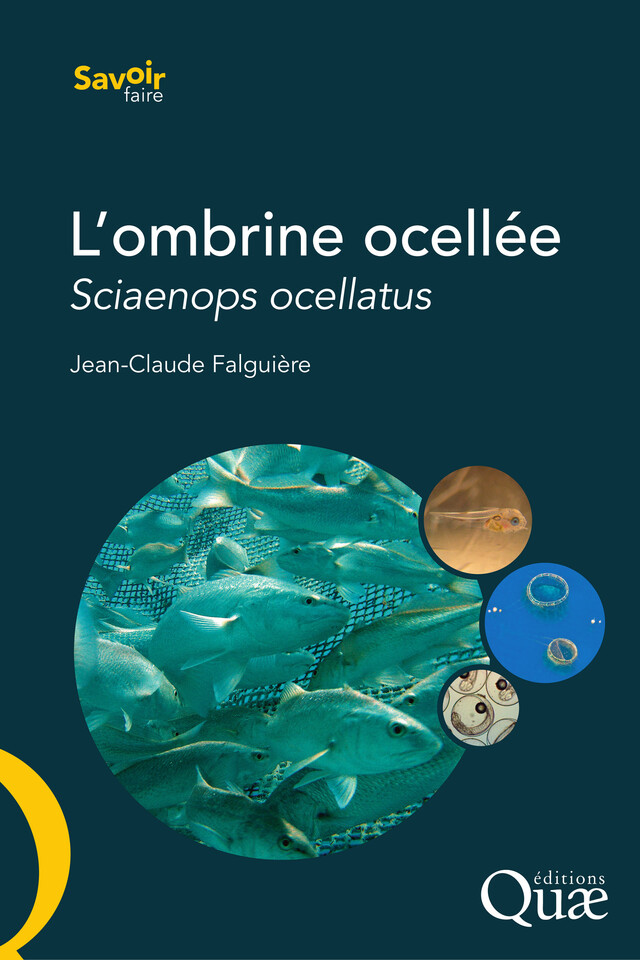 L'ombrine ocellée - Jean-Claude Falguiere, Denis Covès - Quæ