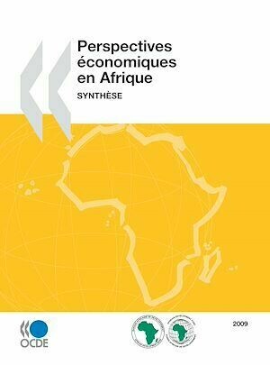Perspectives économiques en Afrique 2009 - Synthèse - Collectif Collectif - Editions de l'O.C.D.E.