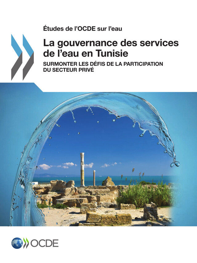 La gouvernance des services de l'eau en Tunisie -  Collectif - OCDE / OECD
