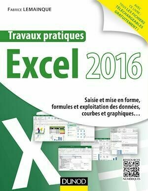 Travaux pratiques avec Excel 2016 - Fabrice Lemainque - Dunod