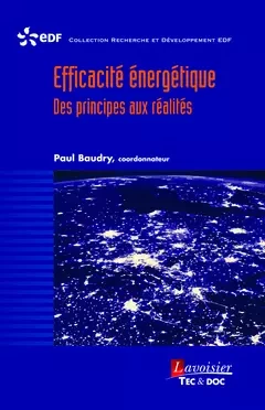 Efficacité énergétique. Des principes aux réalités - Paul Baudry - Tec & Doc