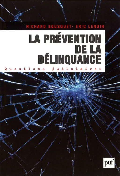 La prévention de la délinquance - Éric Lenoir, Richard Bousquet - Humensis