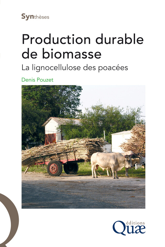 Production durable de biomasse - Denis Pouzet - Quæ
