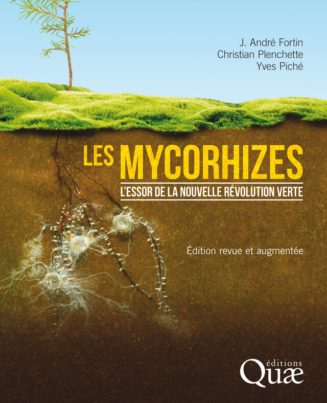 Les mycorhizes - Yves Piché, J. André Fortin, Christian Plenchette - Quæ
