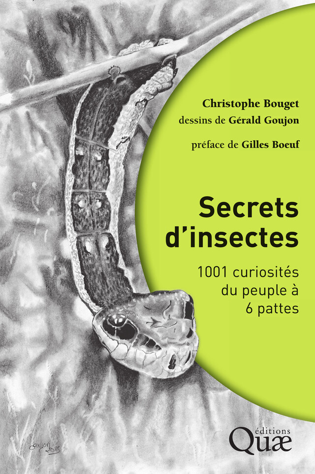 Secrets d'insectes - Christophe Bouget - Quæ