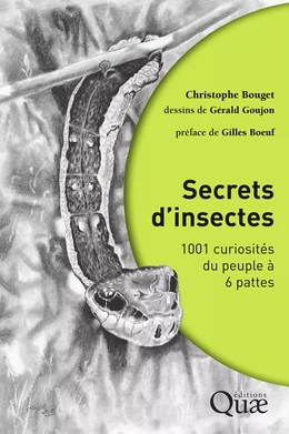 Secrets d'insectes