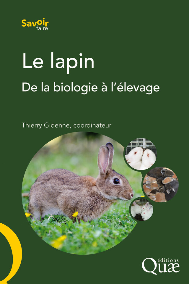 Le lapin - Thierry Gidenne - Quæ