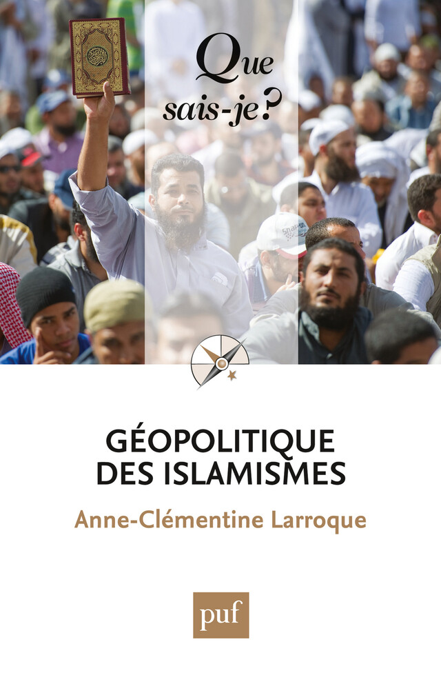 Géopolitique des islamismes - Anne-Clémentine Larroque - Que sais-je ?