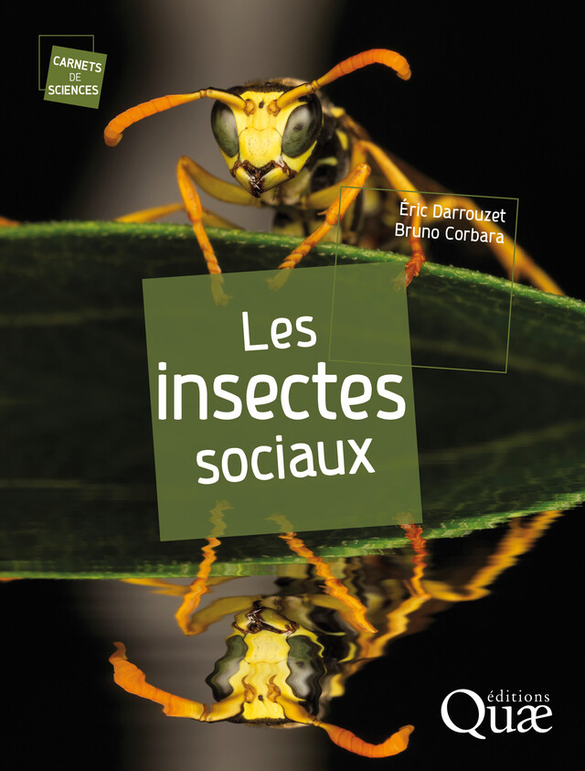 Les insectes sociaux - Eric Darrouzet, Bruno Corbara - Quæ