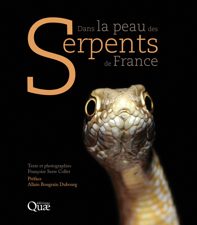 Dans la peau des serpents de France - Françoise Serre Collet - Quæ