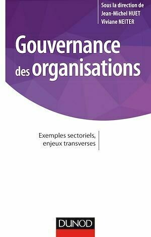 Gouvernance des organisations - Jean-Michel Huet, Viviane Neiter - Dunod