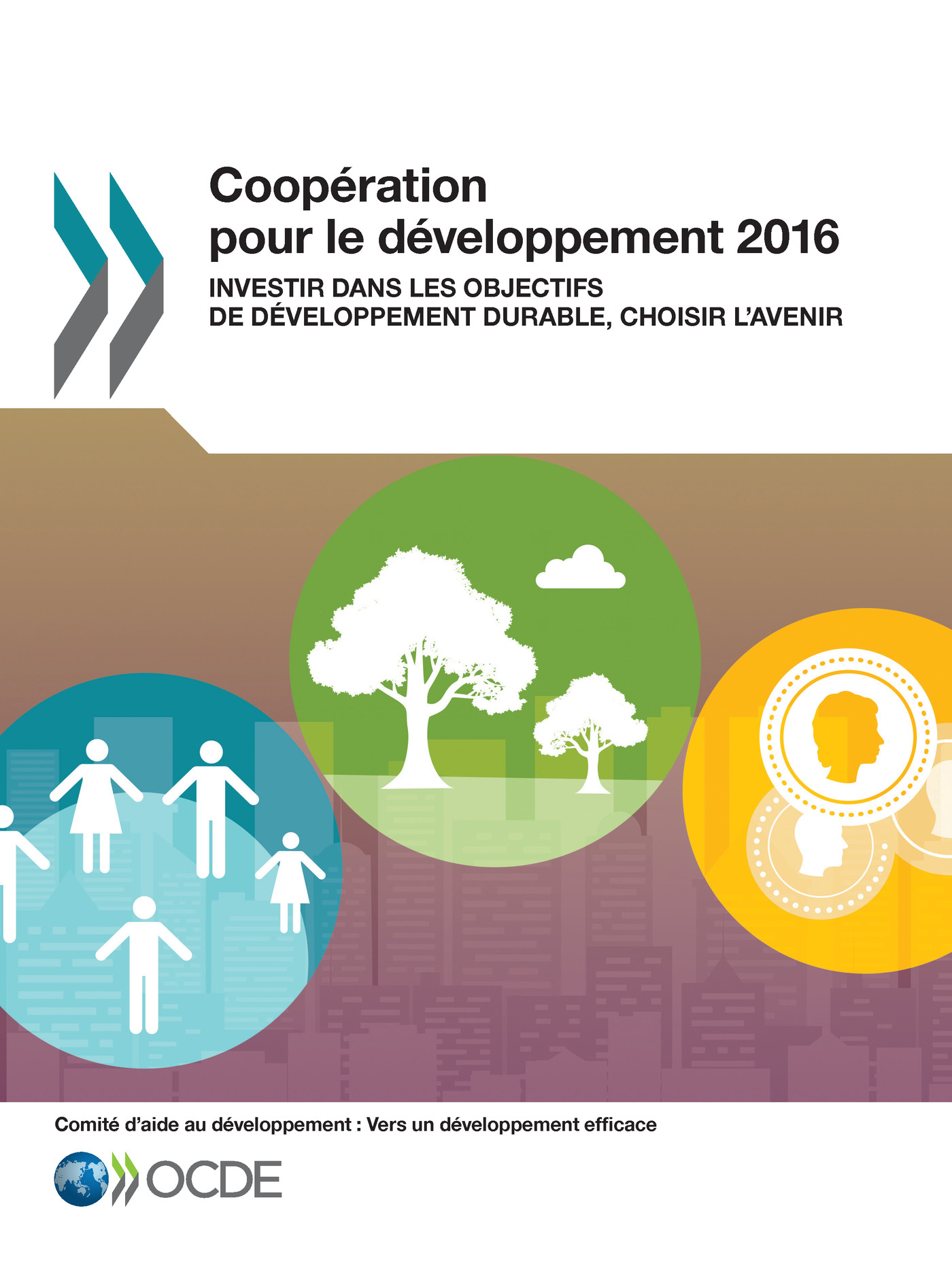 Coopération pour le développement 2016 -  Collectif - OCDE / OECD
