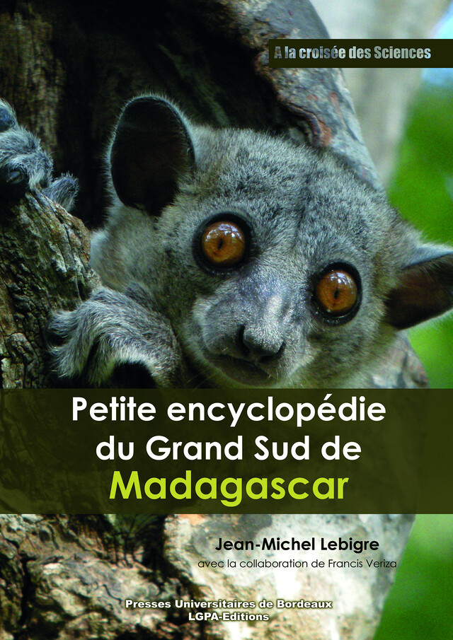 Petite encyclopédie du Grand Sud de Madagascar - Jean-Michel Lebigre - Presses universitaires de Bordeaux