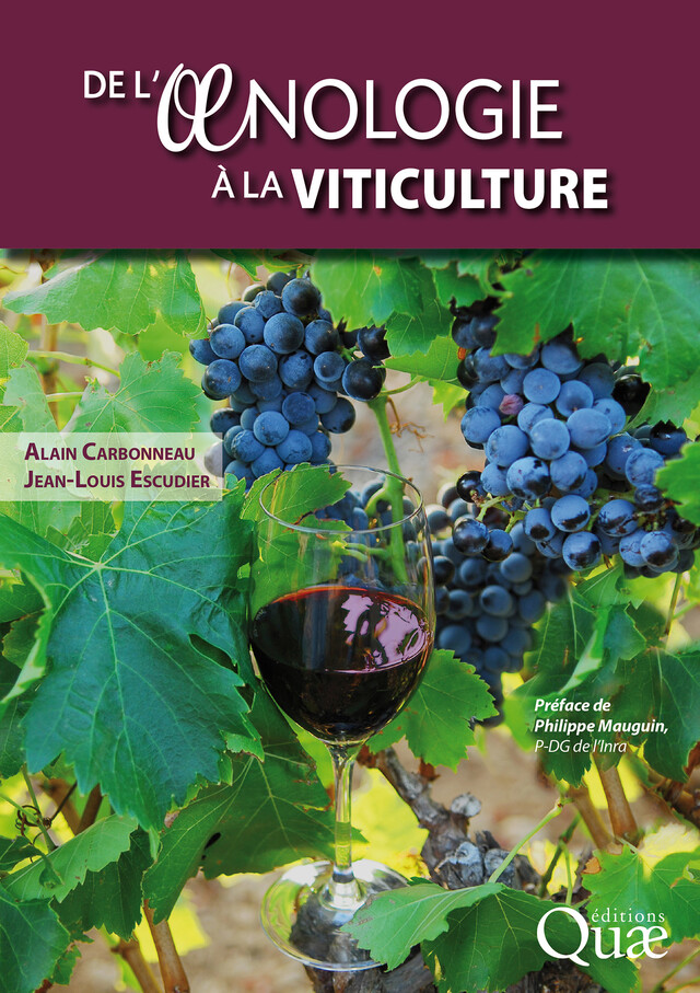 De l'œnologie à la viticulture - Jean-Louis Escudier, Alain Carbonneau - Quæ