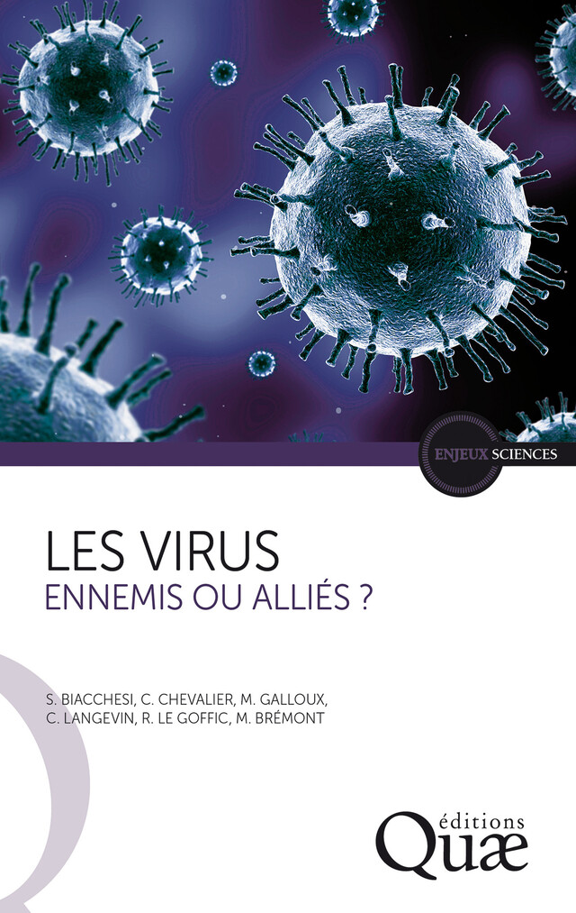 Les virus - Stéphane Biacchesi, Christophe Chevalier, Marie Galloux, Michel Brémont, Christelle Langevin, Ronan Le Goffic - Quæ