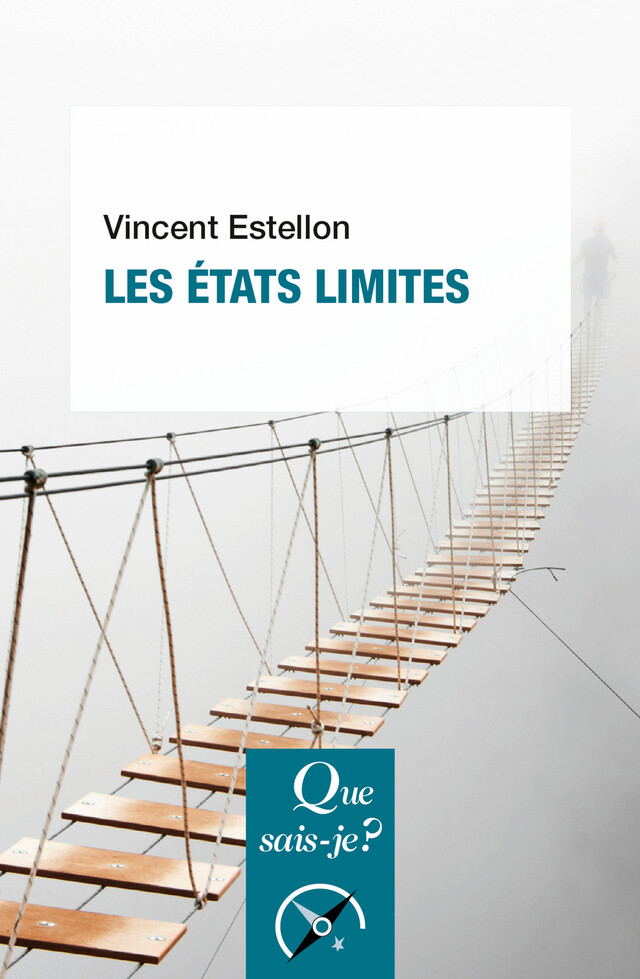 Les états limites - Vincent Estellon - Presses Universitaires de France