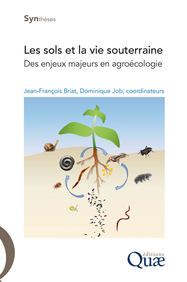 Les sols et la vie souterraine - Jean-François Briat, Dominique Job - Quæ