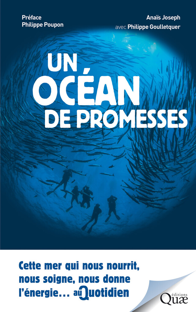 Un océan de promesses - Anaïs Joseph, Philippe Goulletquer - Quæ