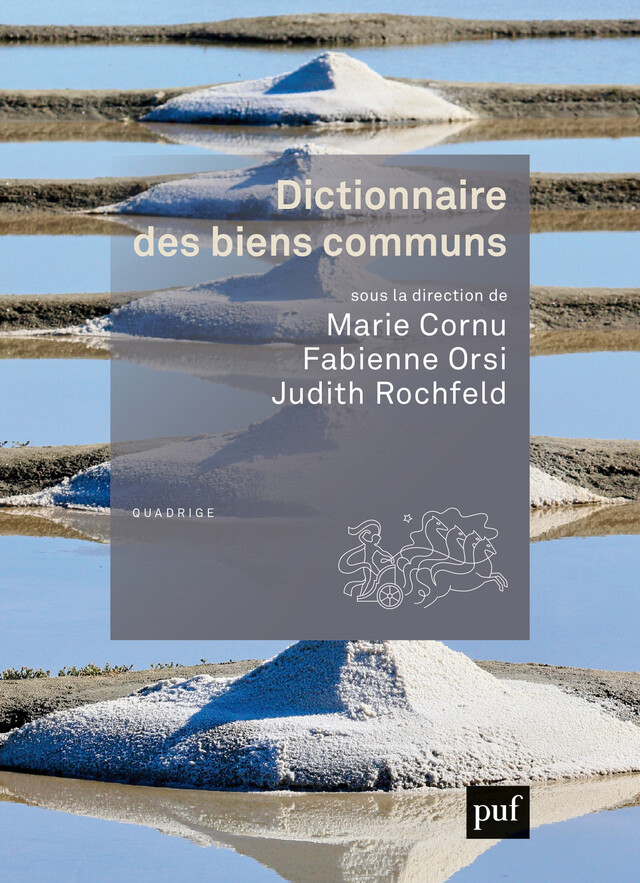Dictionnaire des biens communs - Fabienne Orsi, Judith Rochfeld - Presses Universitaires de France