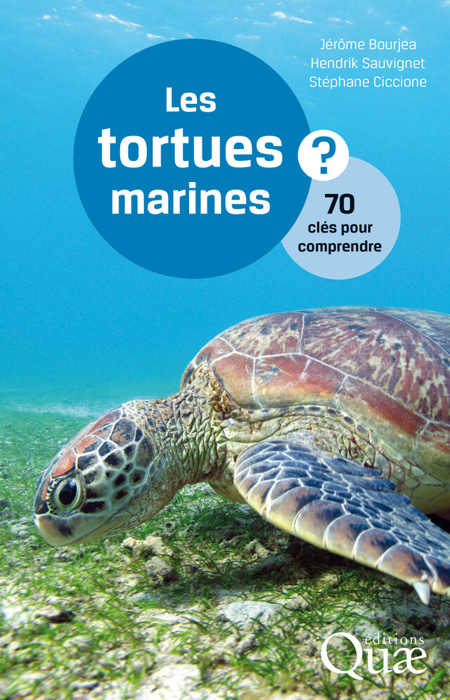 Les tortues marines - Jérôme Bourjea, Hendrik Sauvignet, Stéphane Ciccione - Quæ