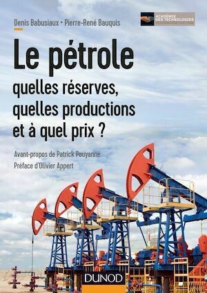 Le pétrole : quelles réserves, quelles productions et à quel prix ? - Pierre-René Bauquis, Denis Babusiaux - Dunod